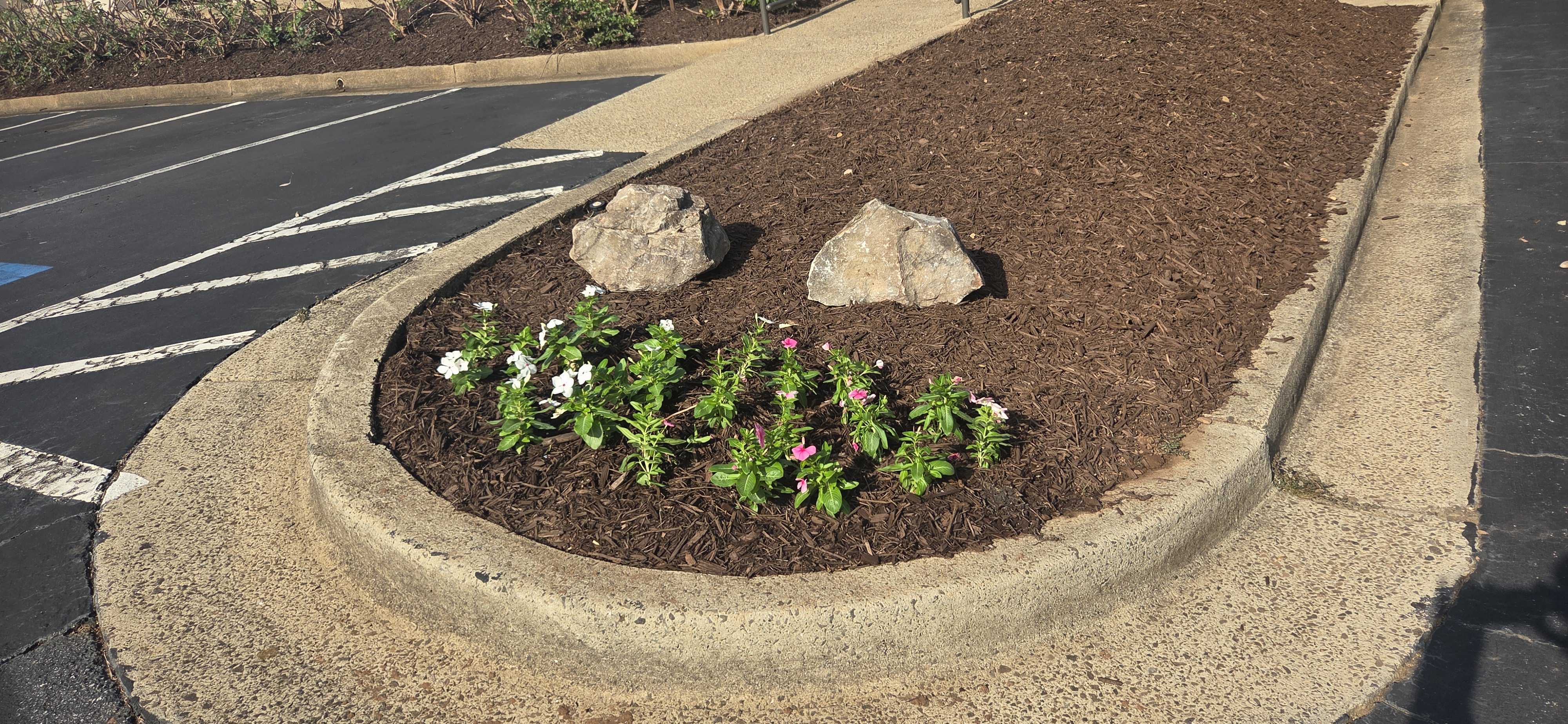 Flower Bed with Fresh Mulch and Rock Accents